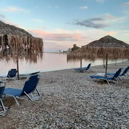 O Xenonas Ton Mylon Míloi