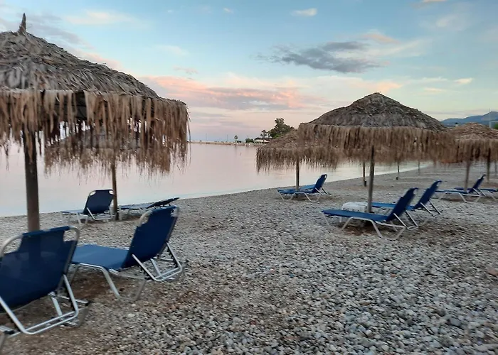 O Xenonas Ton Mylon Míloi