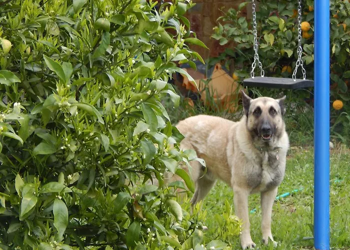 Apartamento O Xenonas Ton Mylon Míloi